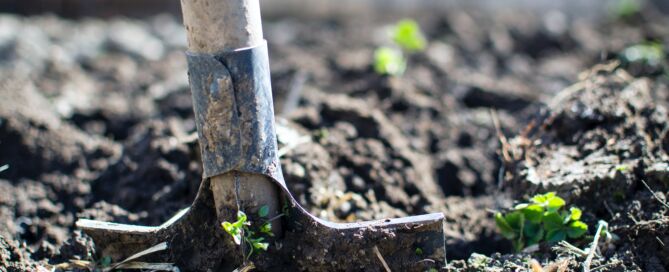 Photo de Lukas provenant de Pexels