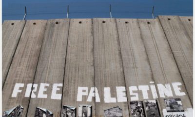 Le mur de séparation et son slogan : Free Palestine !