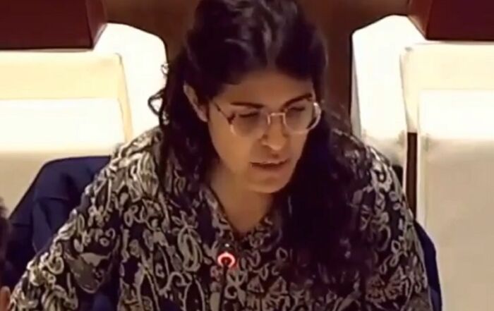 Représentante de l'État de Palestine à l'ONU