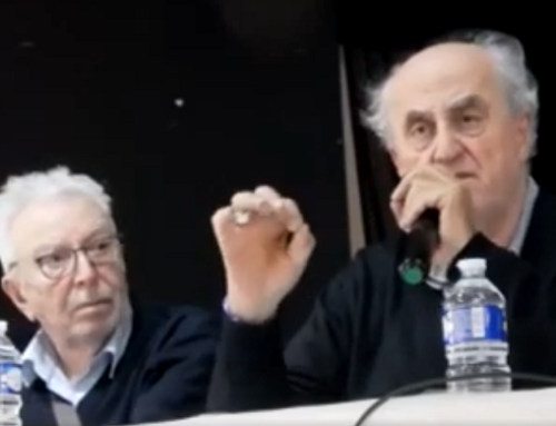 Palestine, encore et toujours (vidéo)