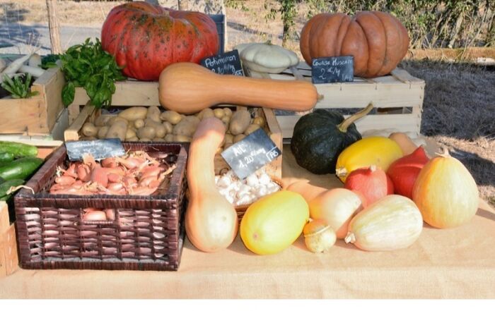 Marché fermier GAEC Monts et légumes © Gilles Péris y Saborit