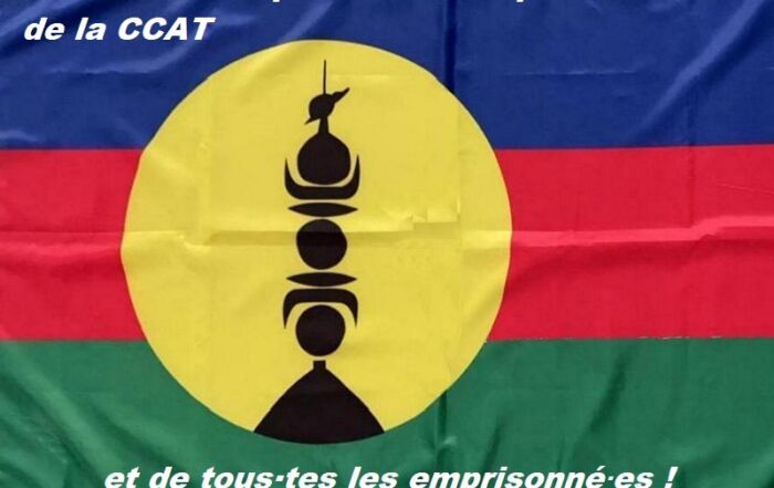 Kanaky Drapeau + slogan "Libération des prisonnier·ères de la CCAT"