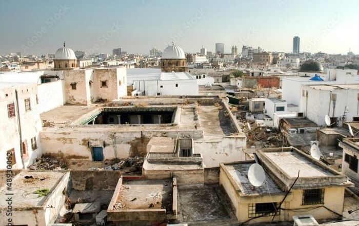 Vue sur les toits de Tunis © Fotokon