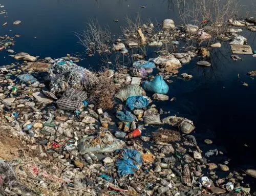 Le plastique, est-ce si fantastique ?