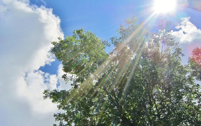 Chaud soleil de canicule © Richard Mc Neil